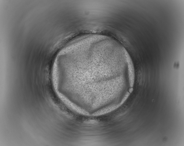 X0000111900594200908171240