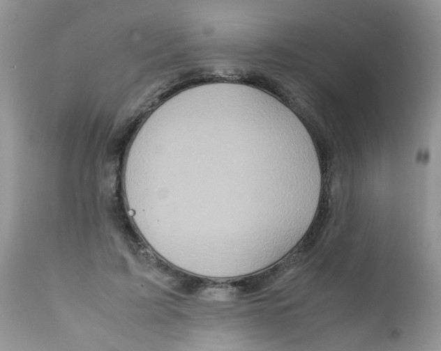 X0000111900595200908171240