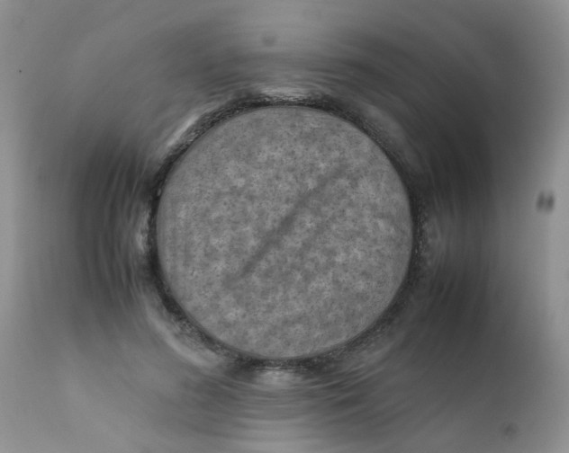 X0000111900596200908171240