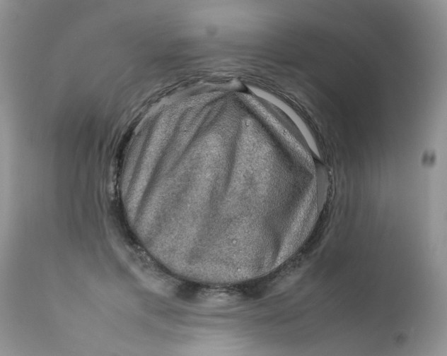 X0000111900597200908171240