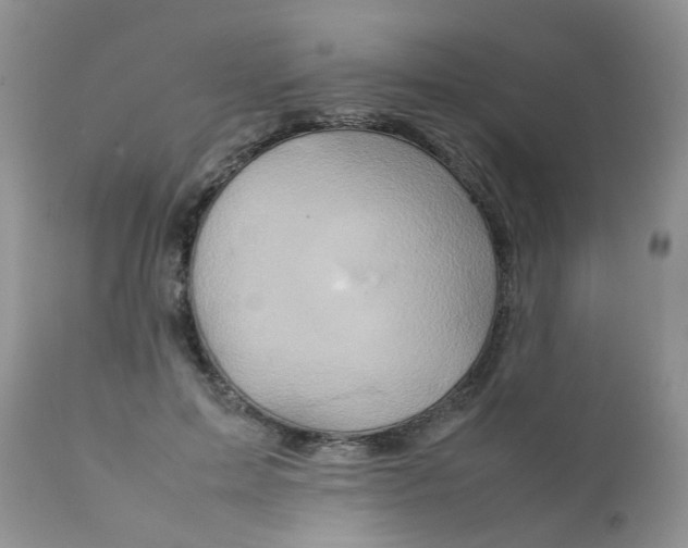 X0000111900599200908171240