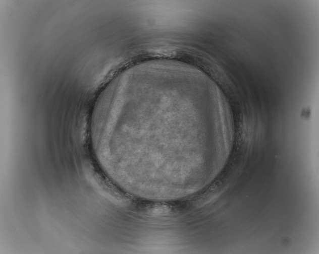 X0000111900600200908171240