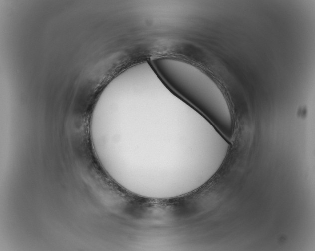 X0000111900601200908171240