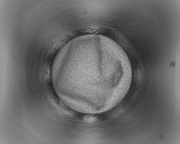 X0000111900602200908171240