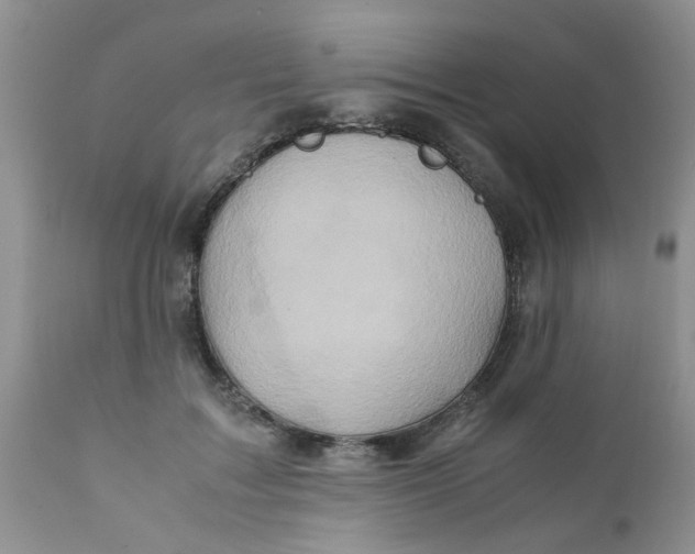 X0000111900603200908171240