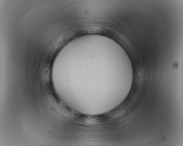 X0000111900604200908171240