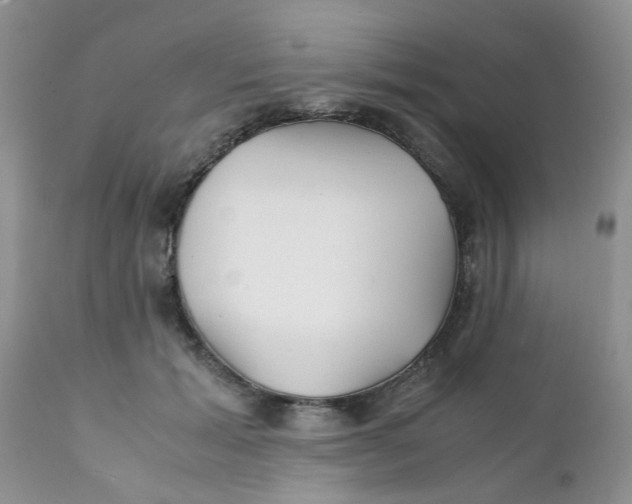 X0000111900605200908171240