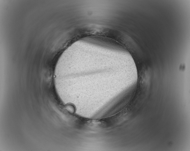 X0000111900607200908171240