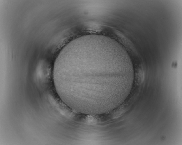 X0000111900608200908171240