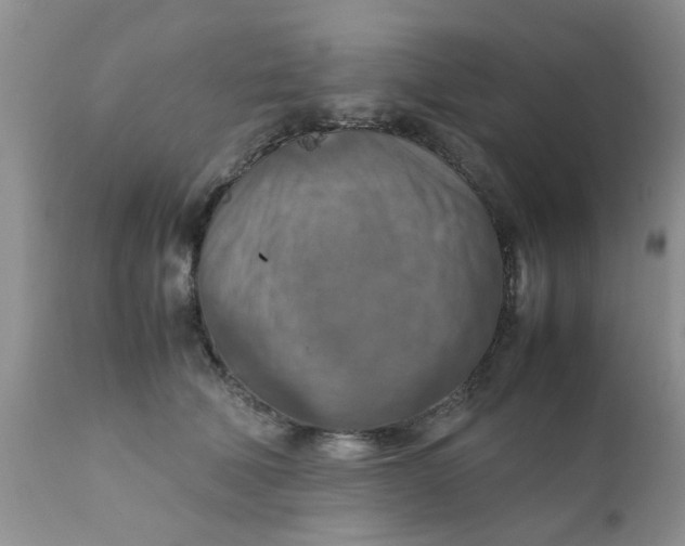 X0000111900610200908171240