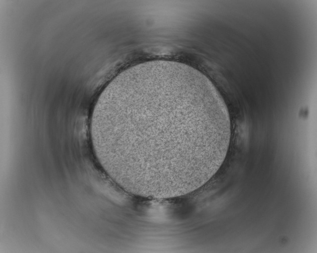 X0000111900612200908171240