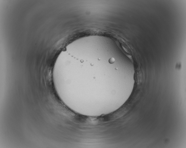 X0000111900613200908171240