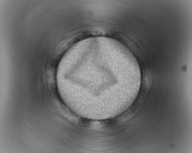 X0000111900616200908171240