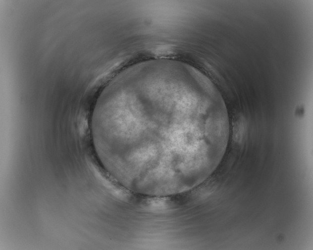 X0000111900618200908171240