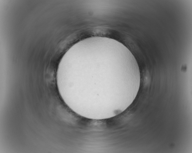 X0000111900619200908171240