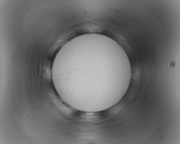 X0000111900622200908171240