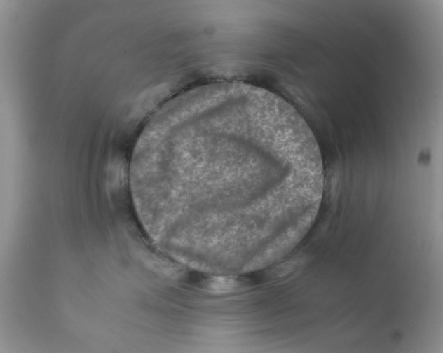 X0000111900623200908171240