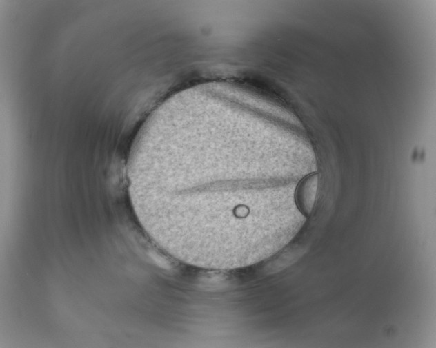 X0000111900624200908171240