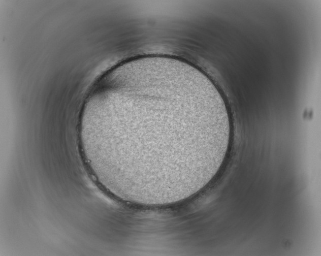 X0000111900625200908171239