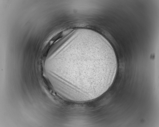 X0000111900626200908171239