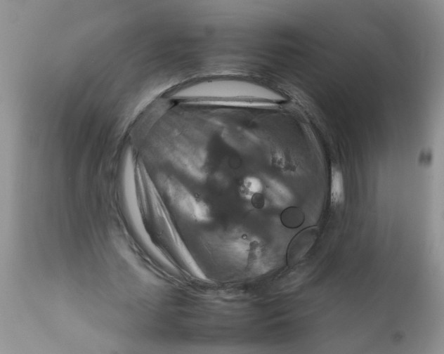 X0000111900627200908171239