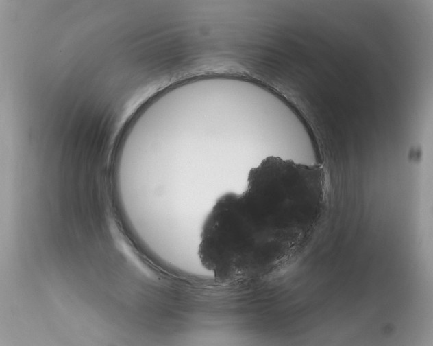 X0000111900630200908171239