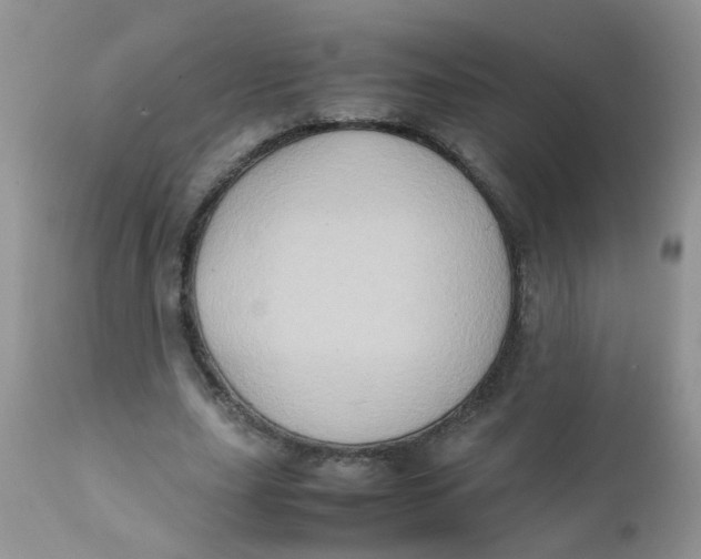 X0000111900631200908171239