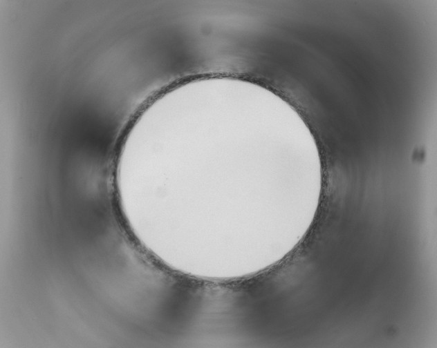 X0000111900632200908171239