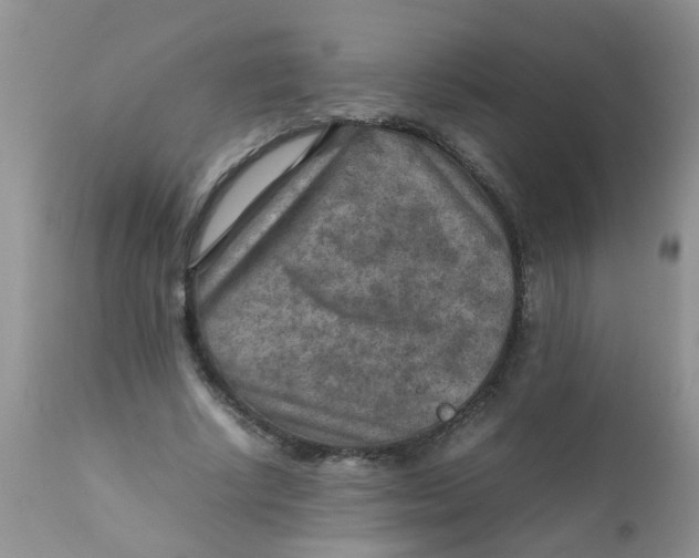 X0000111900634200908171239