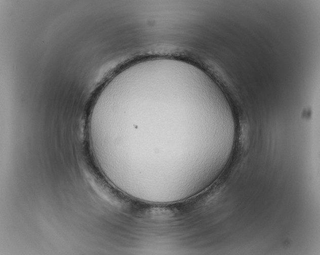 X0000111900636200908171239