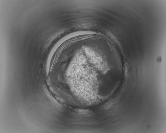 X0000111900637200908171239