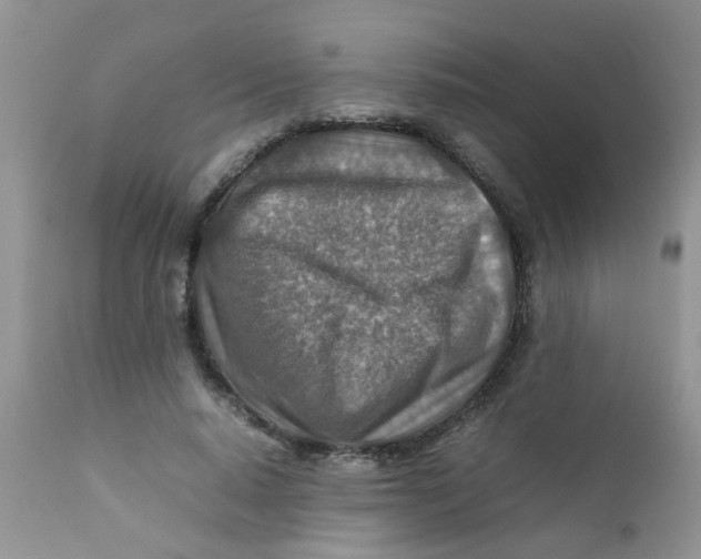 X0000111900640200908171239