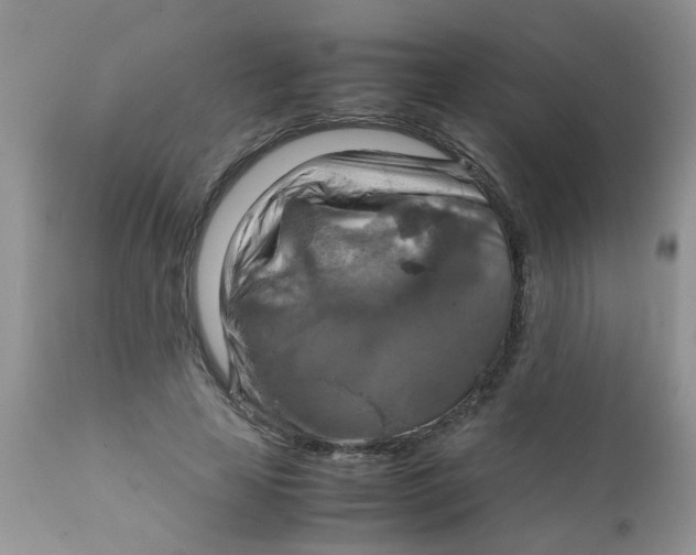 X0000111900641200908171239