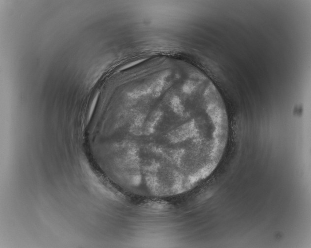 X0000111900642200908171239