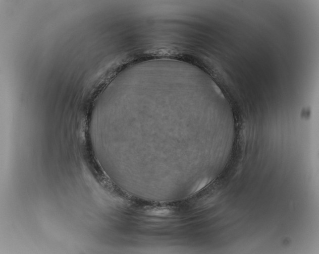 X0000111900643200908171239