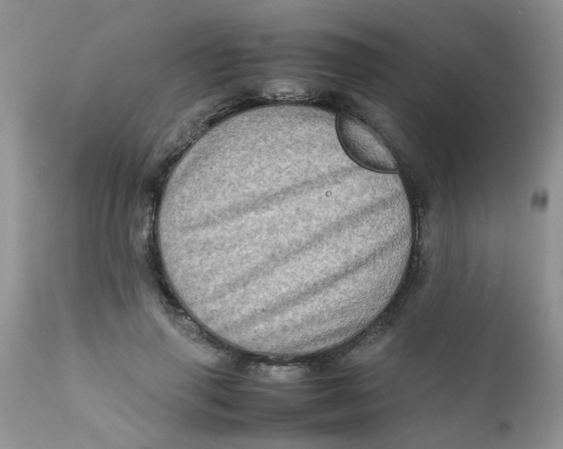 X0000111900645200908171239