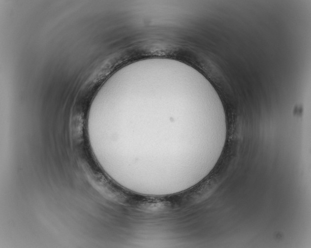 X0000111900646200908171239