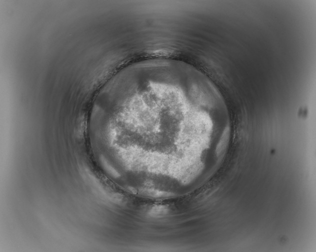 X0000111900647200908171239