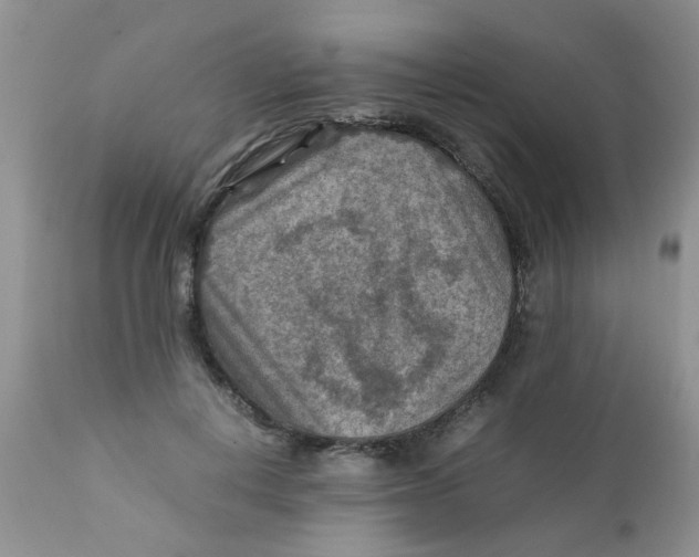 X0000111900648200908171239