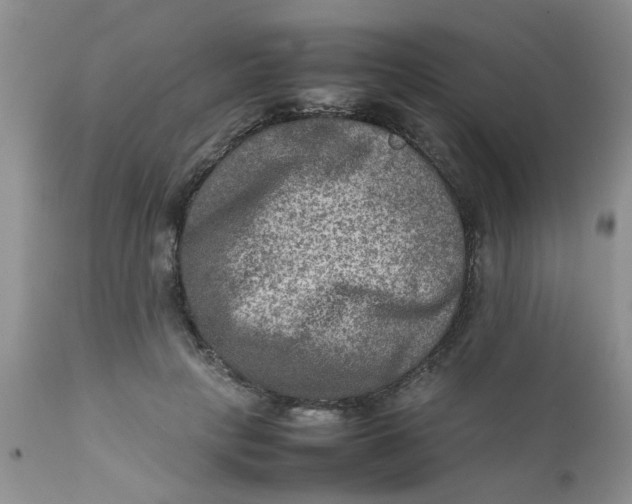 X0000111900649200908171239