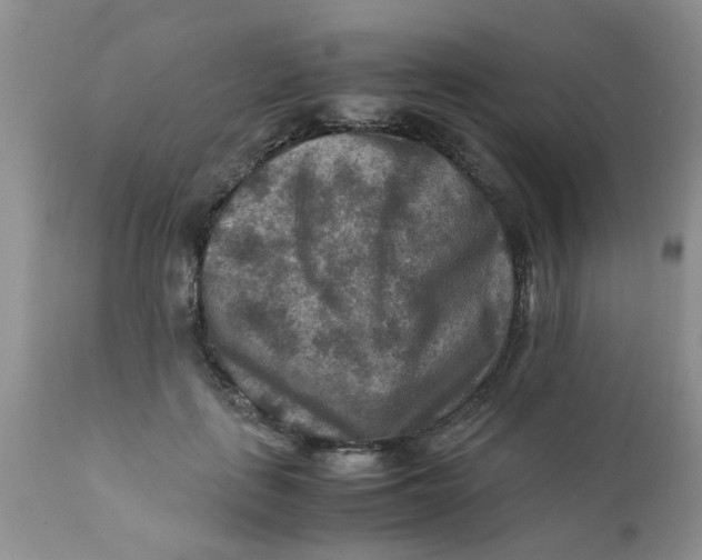 X0000111900651200908171240