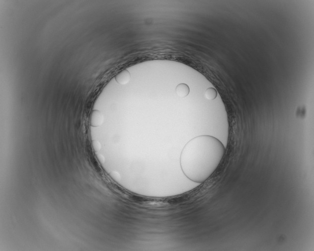 X0000111900654200908171240