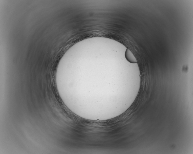 X0000111900655200908171240