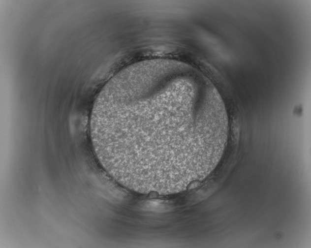 X0000111900657200908171240