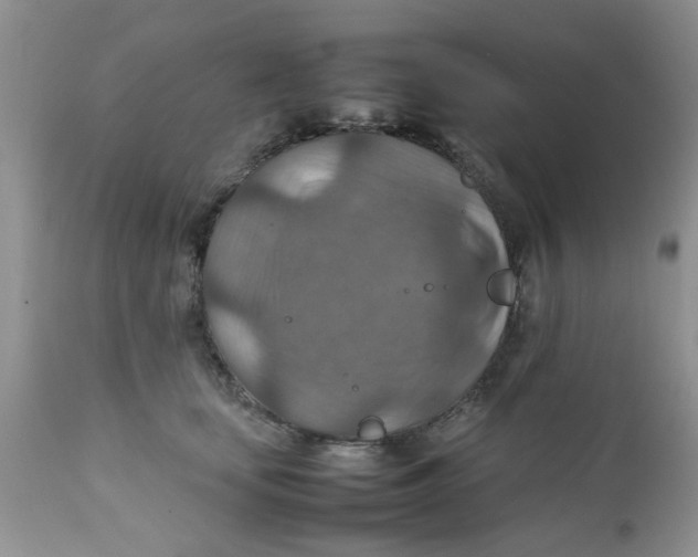 X0000111900659200908171240