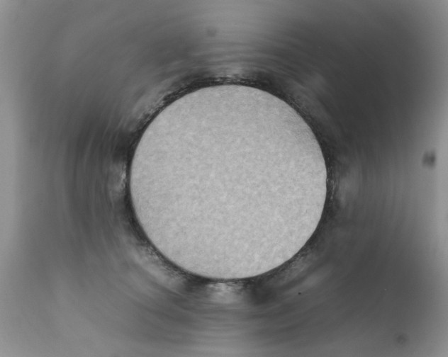 X0000111900660200908171240