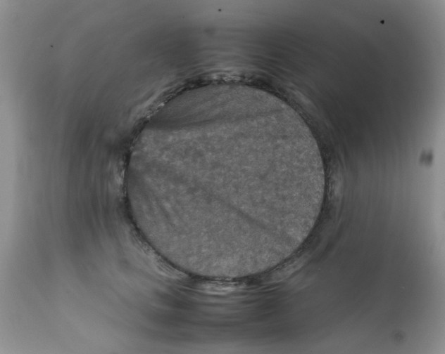 X0000111900661200908171240