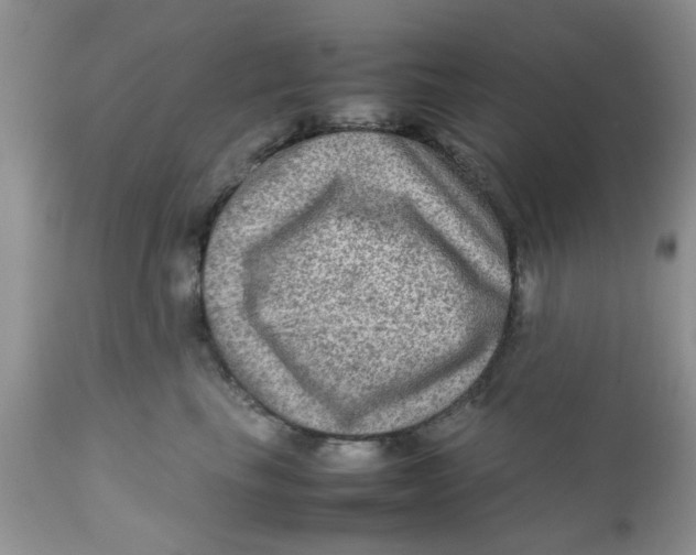 X0000111900665200908171240