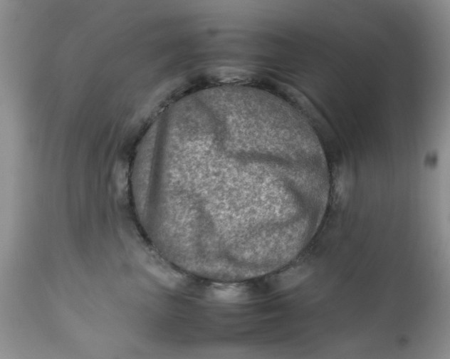 X0000111900667200908171240