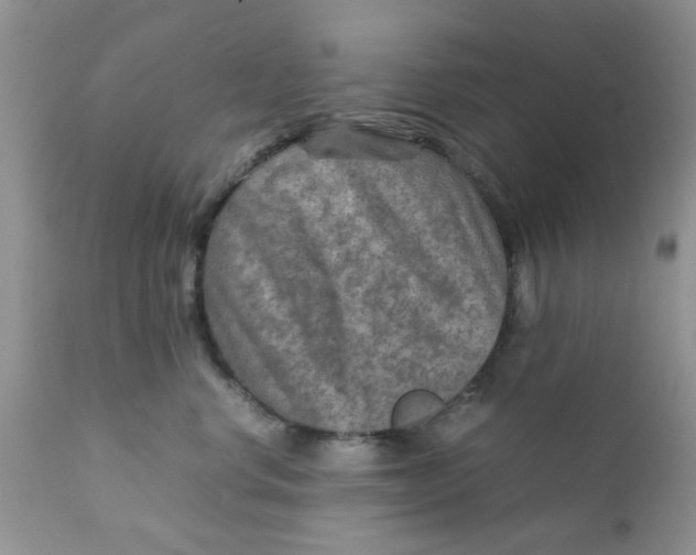 X0000111900668200908171240